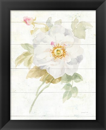 Framed June Blooms III Print