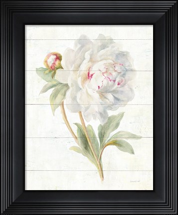 Framed June Blooms II Print
