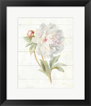 Framed June Blooms II Print