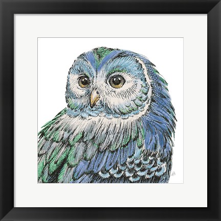 Framed Beautiful Owls I Peacock Crop Print