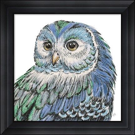 Framed Beautiful Owls I Peacock Crop Print