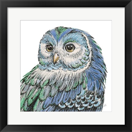 Framed Beautiful Owls I Peacock Crop Print