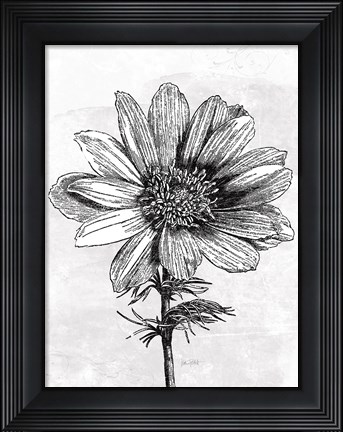 Framed Spa Botanical IV BW Crop Print