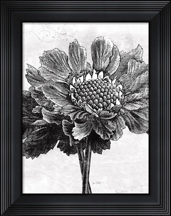 Framed Spa Botanical I BW Crop Print