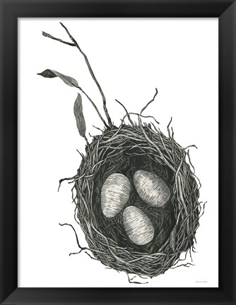 Framed Springtime Nest III Print