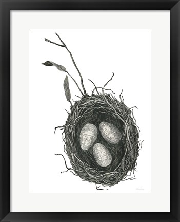 Framed Springtime Nest III Print