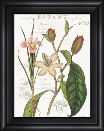 Framed Vintage Floral III Neutral Print