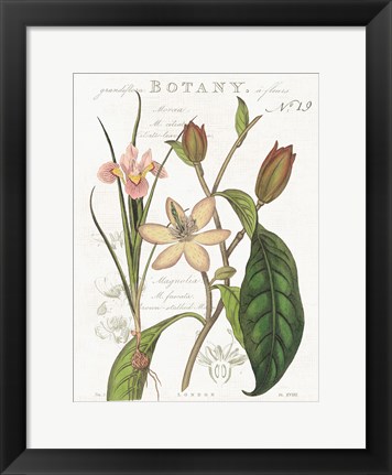 Framed Vintage Floral III Neutral Print