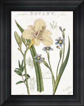Framed Vintage Floral II Neutral Print