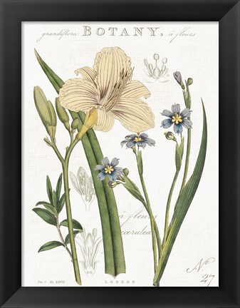 Framed Vintage Floral II Neutral Print