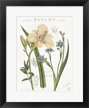 Framed Vintage Floral II Neutral Print