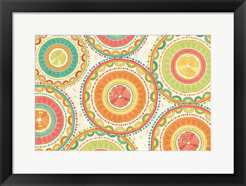Framed Citrus Splash XIII Print