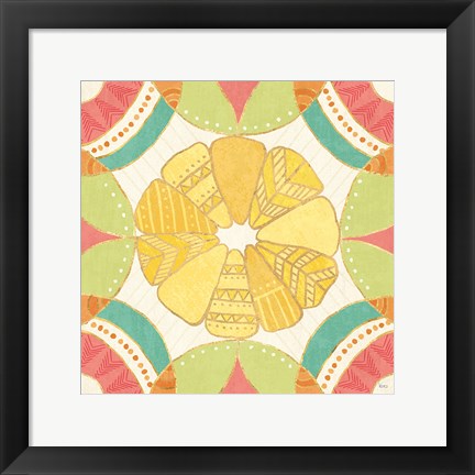 Framed Citrus Splash IX Print