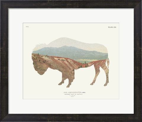 Framed American Southwest Buffalo Print