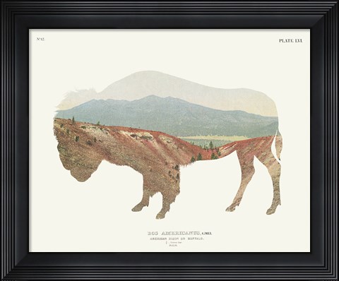 Framed American Southwest Buffalo Print