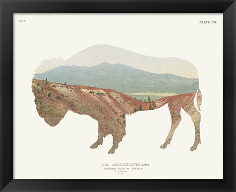 Framed American Southwest Buffalo Print