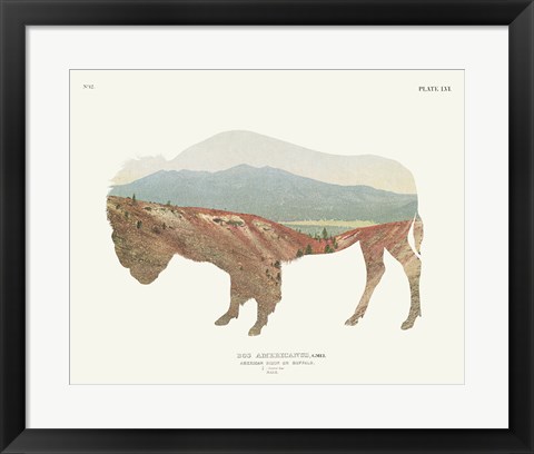 Framed American Southwest Buffalo Print