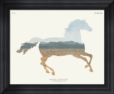 Framed American Southwest Horse Print