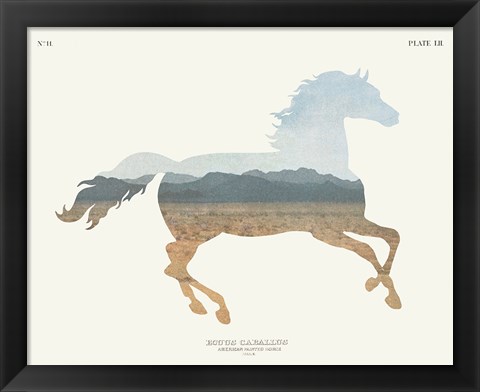 Framed American Southwest Horse Print