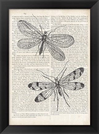 Framed Vintage Dragonflies on Newsprint Print