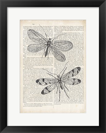 Framed Vintage Dragonflies on Newsprint Print