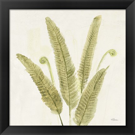 Framed Forest Ferns II v2 Print