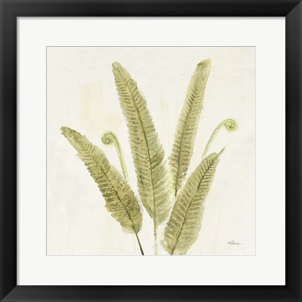 Framed Forest Ferns II v2 Print