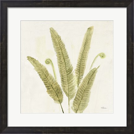 Framed Forest Ferns II v2 Print