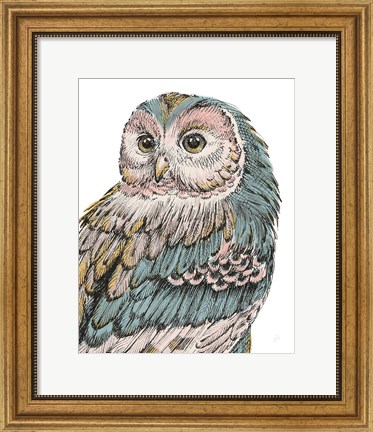 Framed Beautiful Owls I Pastel Print
