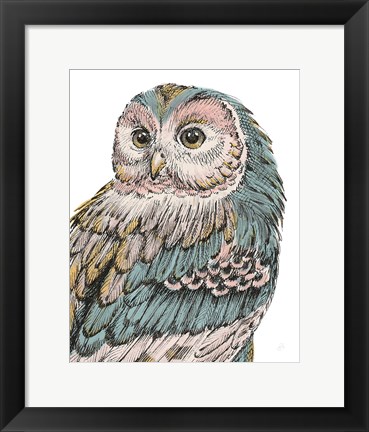 Framed Beautiful Owls I Pastel Print