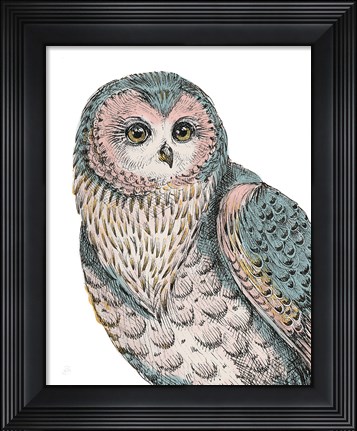 Framed Beautiful Owls IV Pastel Print