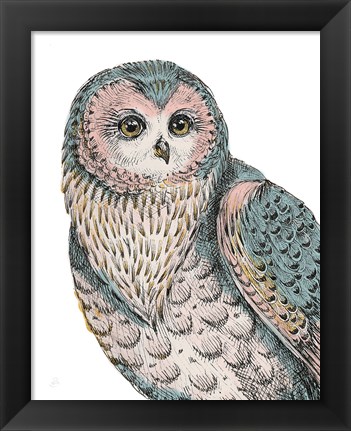 Framed Beautiful Owls IV Pastel Print