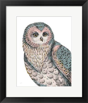 Framed Beautiful Owls IV Pastel Print