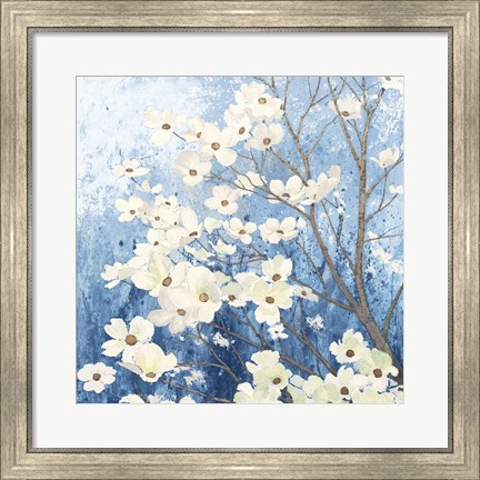 Framed Dogwood Blossoms I Indigo Print