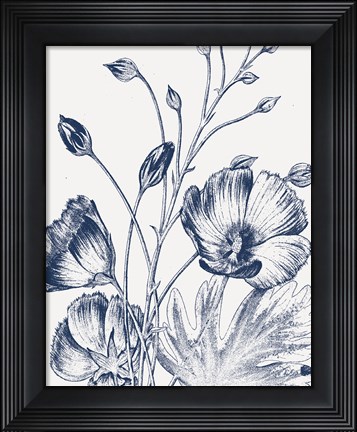 Framed Botanical Beauty Chalk IX Blue on White Crop Print