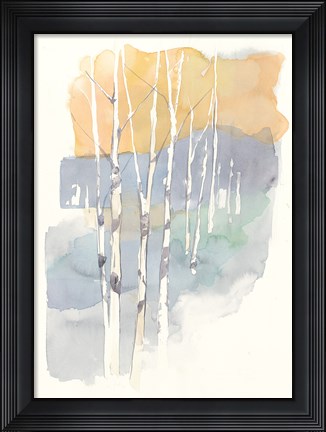 Framed Aspens II Print