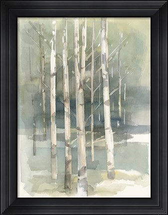 Framed Birch Grove I Print