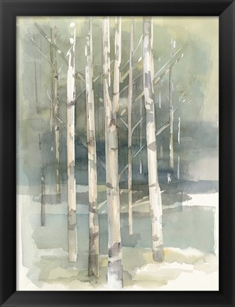 Framed Birch Grove I Print