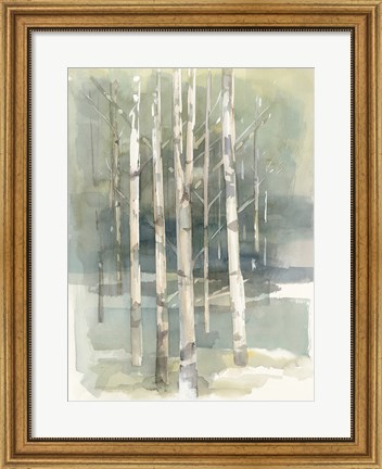 Framed Birch Grove I Print