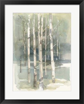 Framed Birch Grove I Print