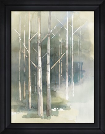 Framed Birch Grove II Print