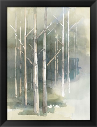 Framed Birch Grove II Print