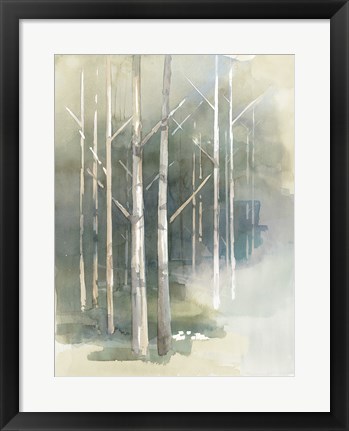 Framed Birch Grove II Print