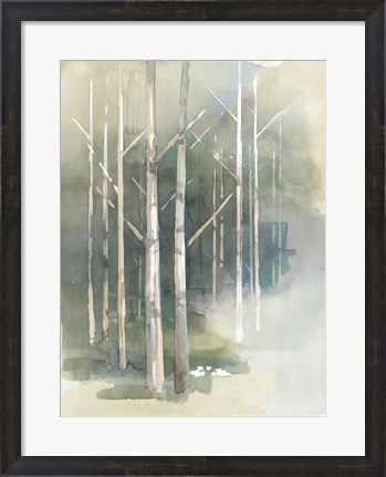 Framed Birch Grove II Print
