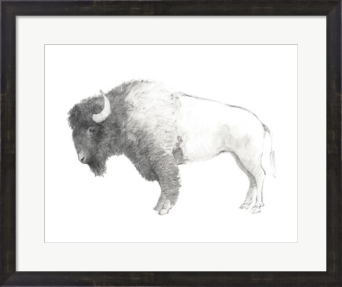 Framed Bison Dark Print