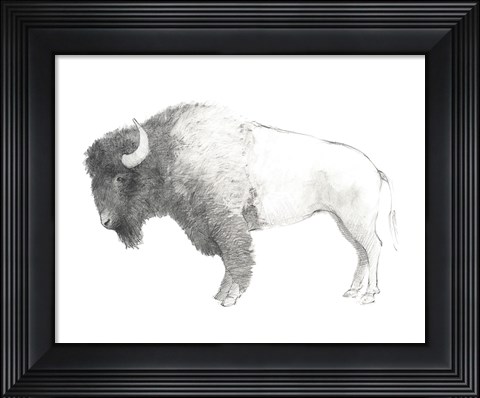 Framed Bison Dark Print