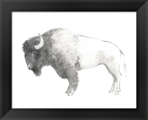 Framed Bison Dark Print