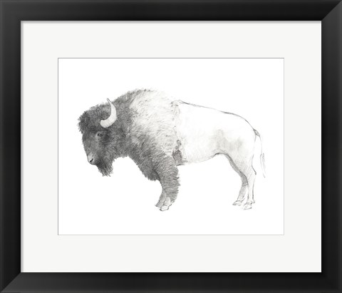 Framed Bison Dark Print