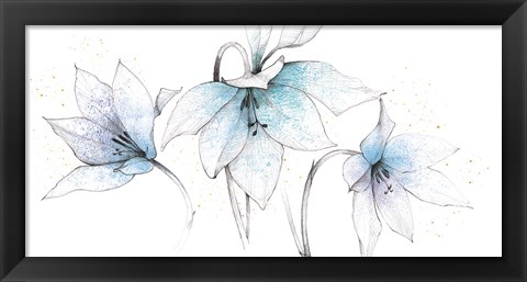 Framed Blue Graphite Floral Trio Print