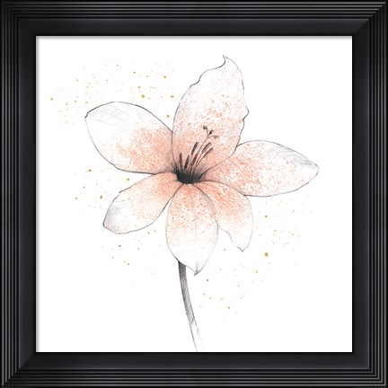 Framed Coral Graphite Flower II Print